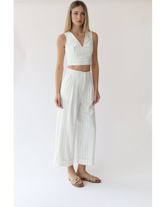 PANTALONI GESSATI VITA ALTA CON PINCES
